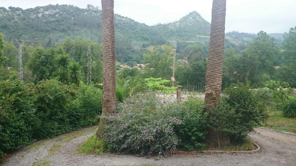 B&B El Jardin De Aes Puente Viesgo Zewnętrze zdjęcie