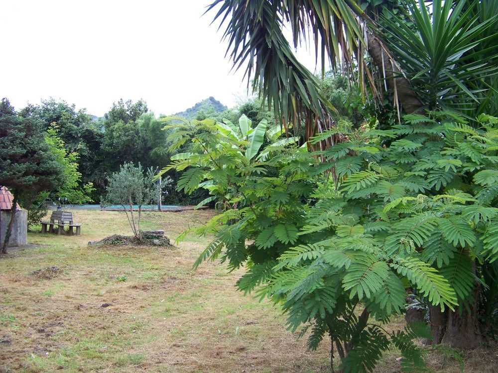 B&B El Jardin De Aes Puente Viesgo Zewnętrze zdjęcie