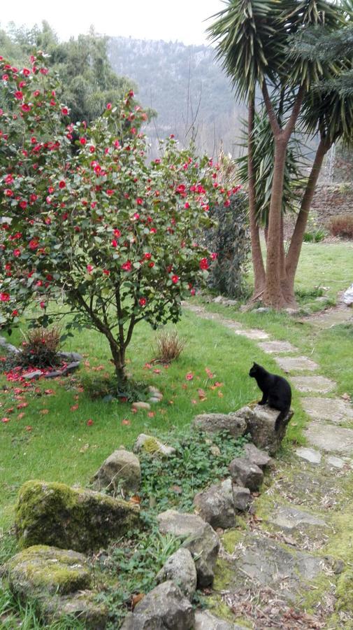 B&B El Jardin De Aes Puente Viesgo Zewnętrze zdjęcie