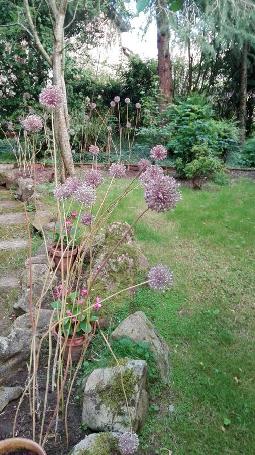 B&B El Jardin De Aes Puente Viesgo Zewnętrze zdjęcie
