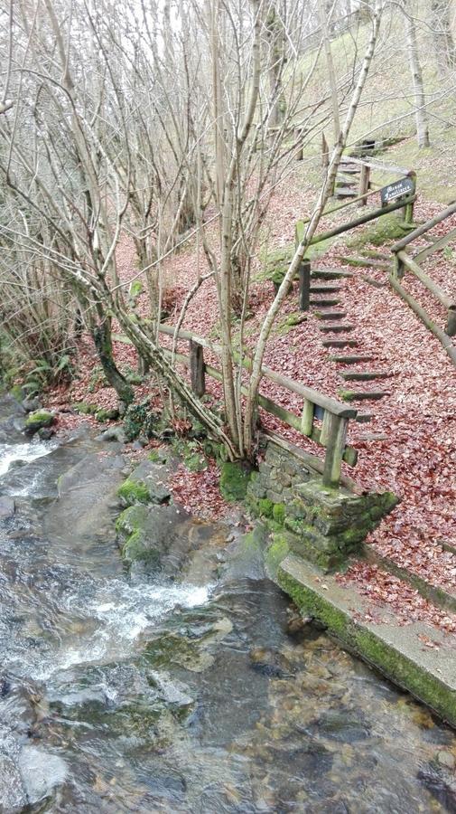B&B El Jardin De Aes Puente Viesgo Zewnętrze zdjęcie