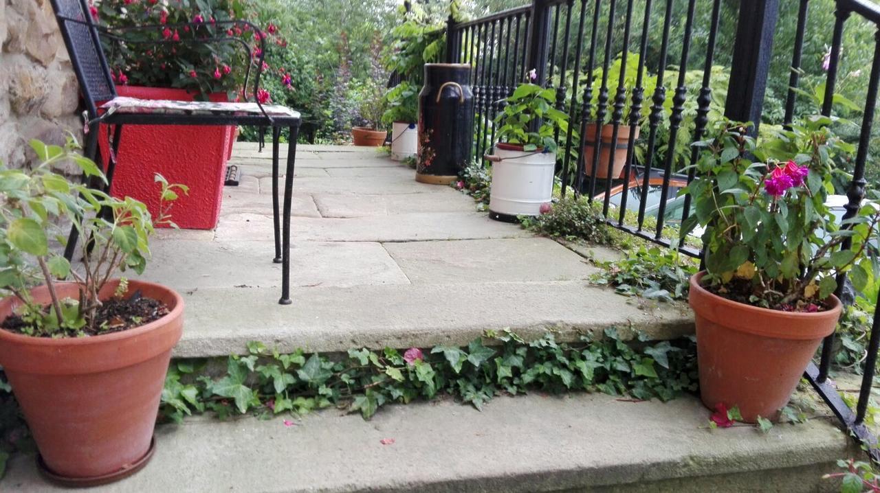 B&B El Jardin De Aes Puente Viesgo Zewnętrze zdjęcie